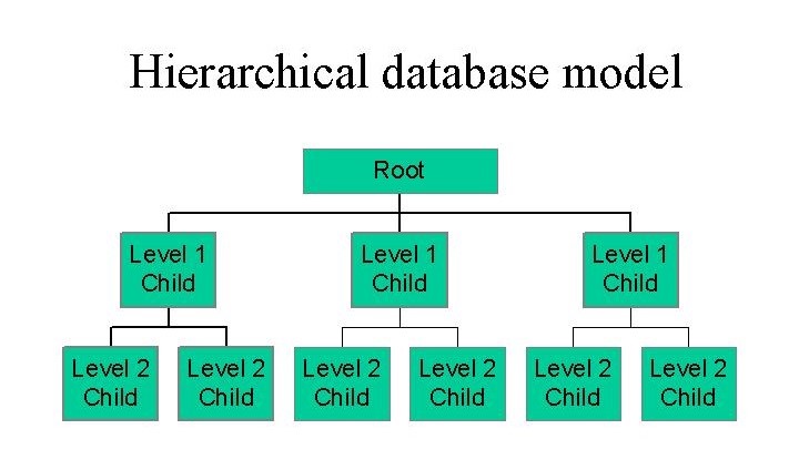 Types of Database Models: Hierarchical Database Model