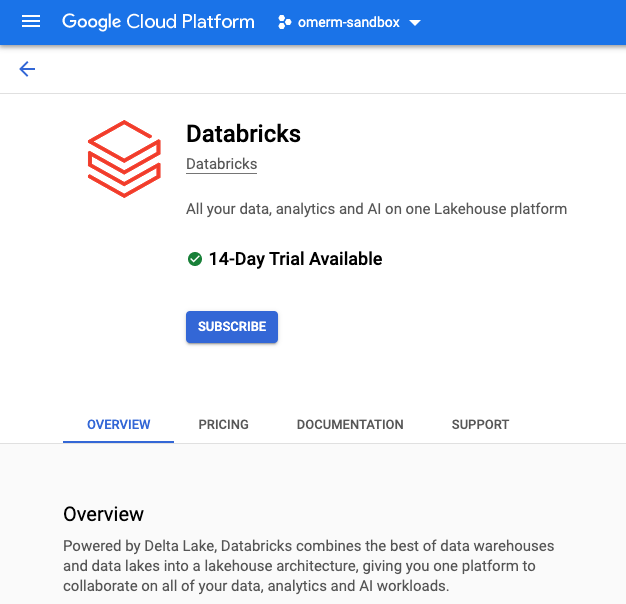 What is Databricks-GCP Marketplace setup of Databricks
