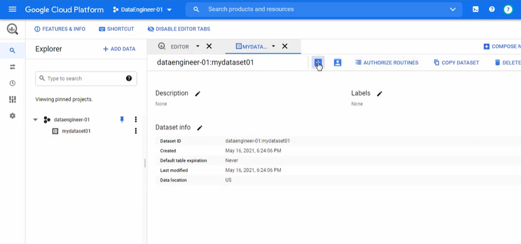 dataset