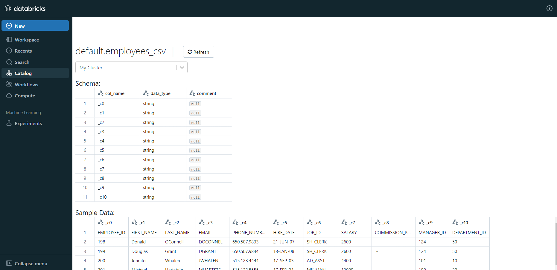 catalog databricks