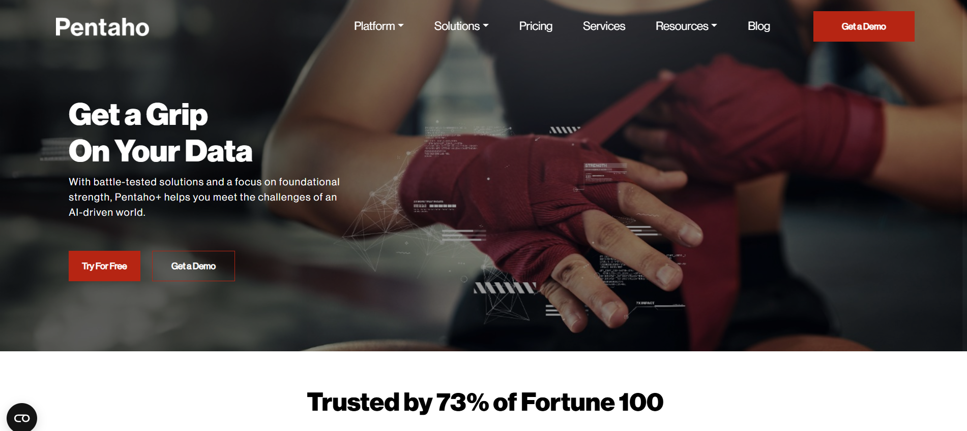 Pentaho home