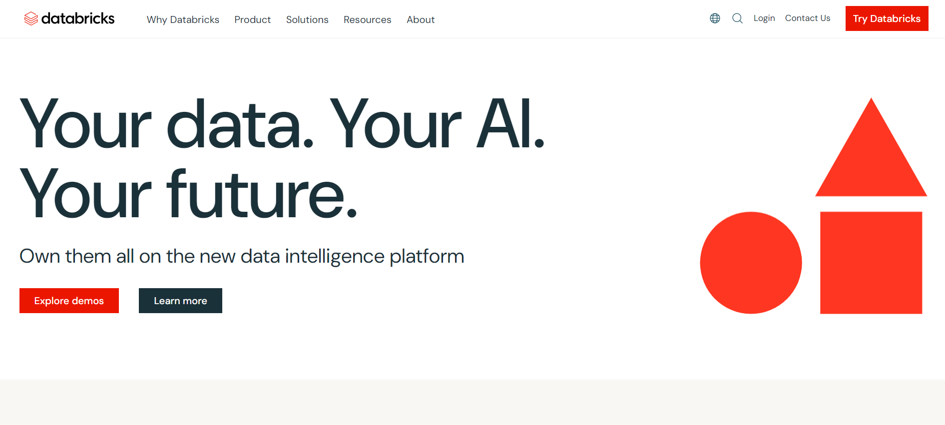 Databricks Loading Page