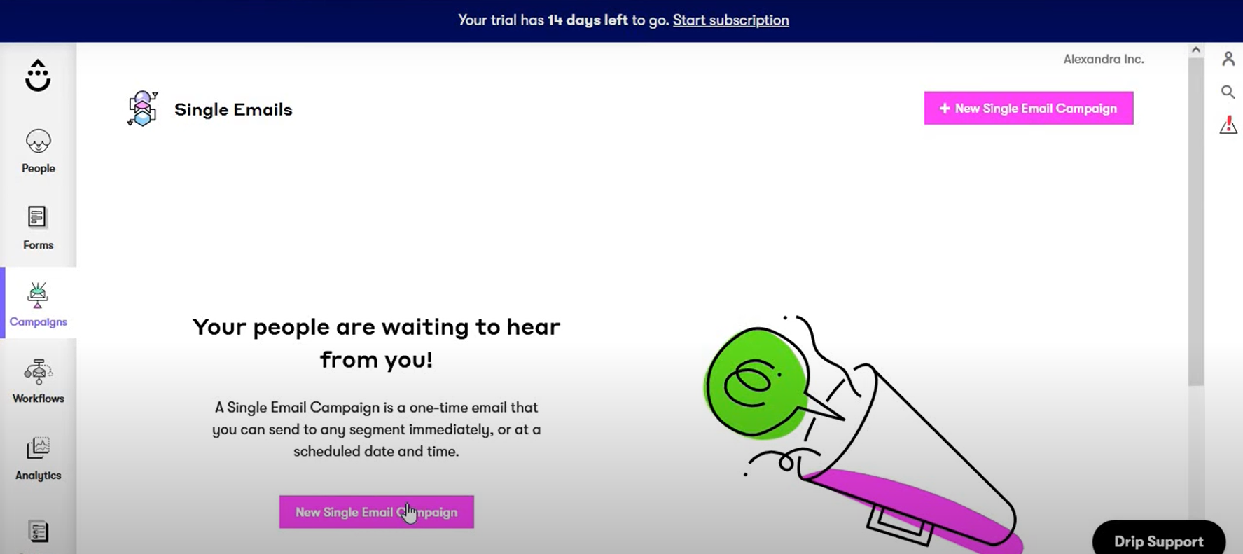 single email campaign